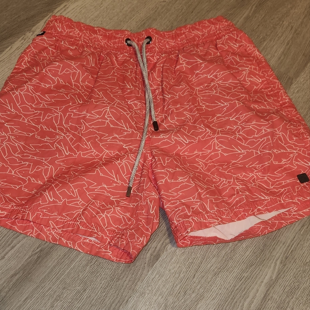 Swim Shorts